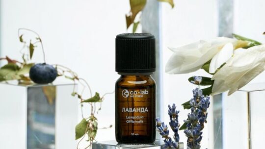 Покупка эфирного масла чайного дерева: полезные советы и обзор продукции Co-lab